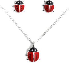 conjunto plata mariquitas color