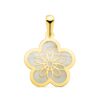 Colgante flor con nácar, oro 18K